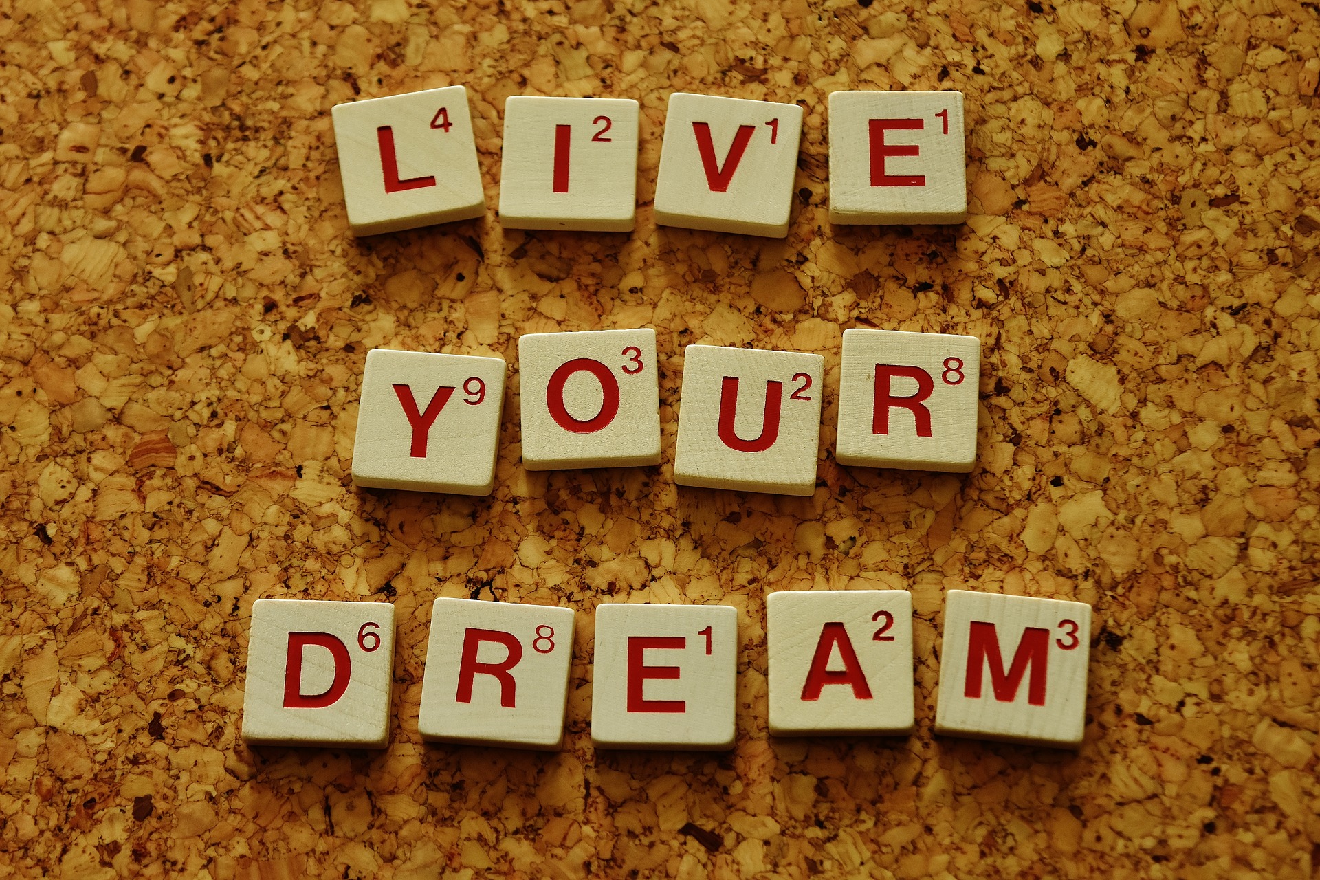 Live your dream bei EffiCon